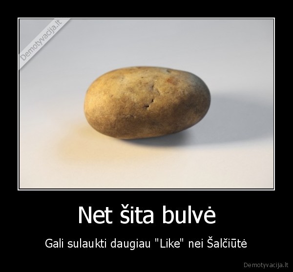 monika, salciute,like,bulve