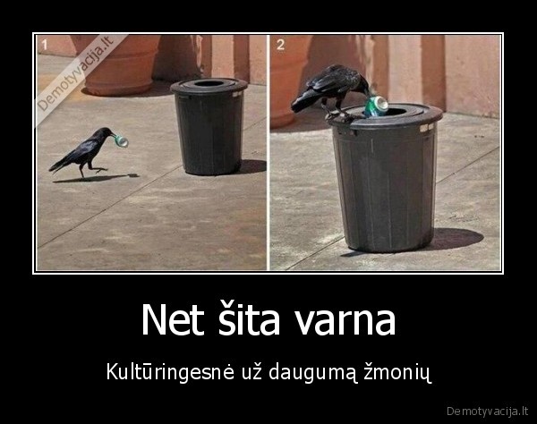 kulturinga, varna,varna, ismeta, siuksles