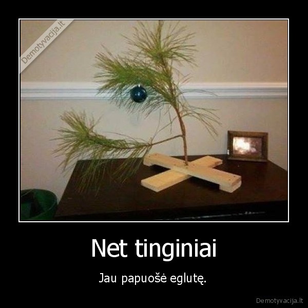 pusys,elge,papuose,maza,tinginys