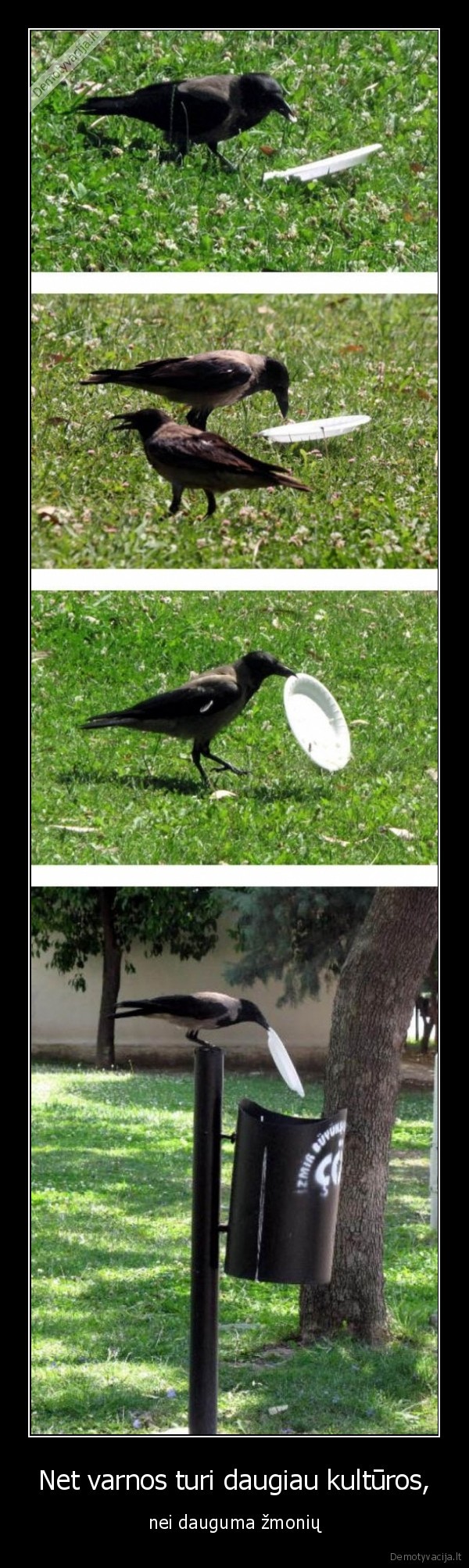 varna,siuksle,ismesti