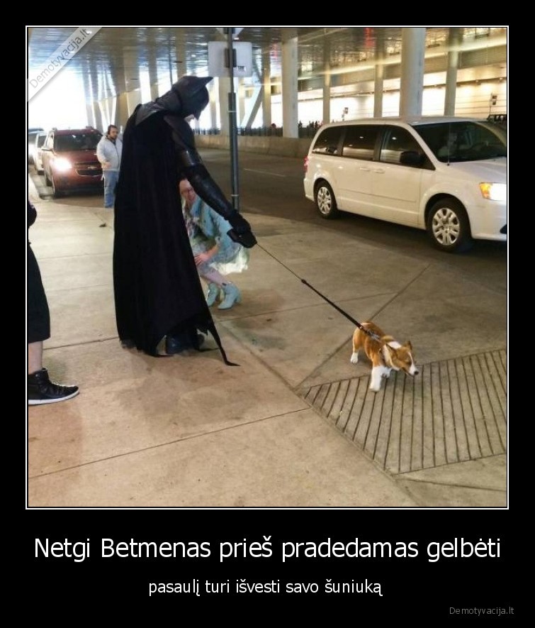 betmenas,pasaulis,suo,gyvunas