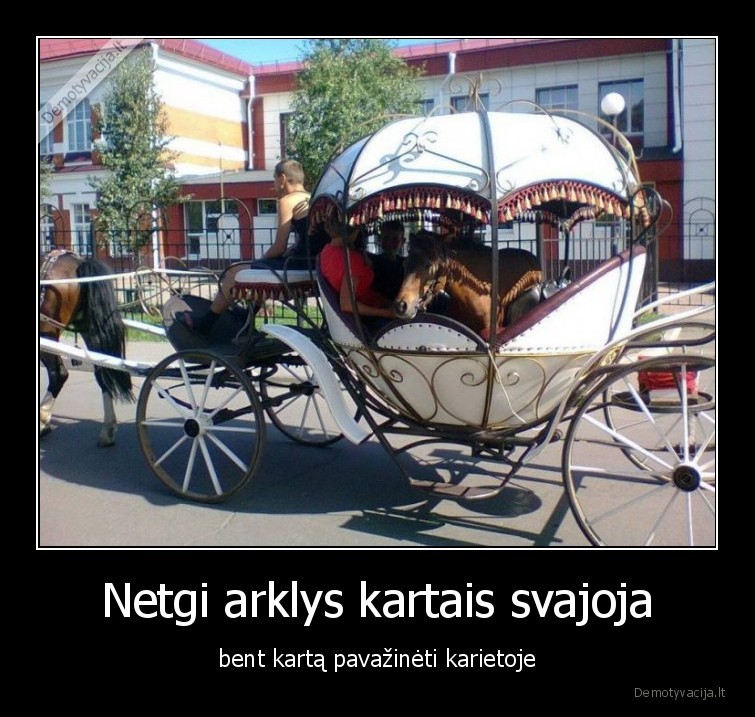 karieta,arklys,svajones