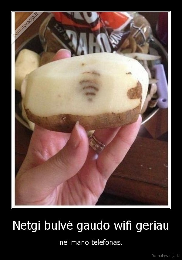 wifi,telefonas,bulve,potato