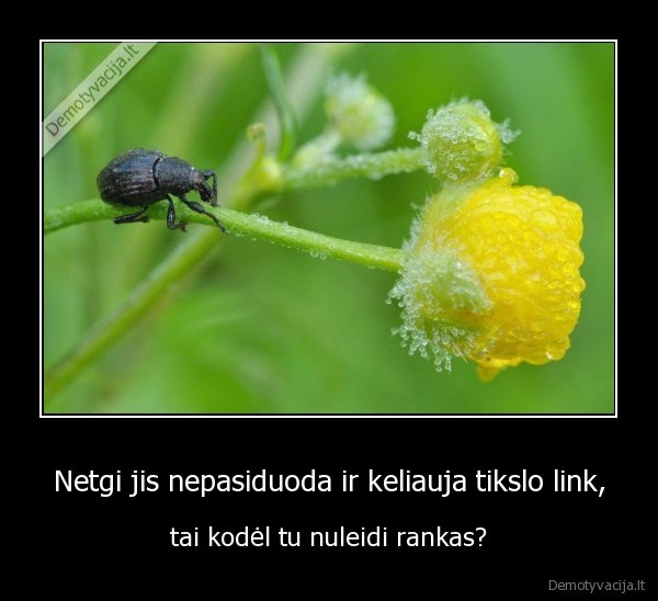 Netgi jis nepasiduoda ir keliauja tikslo link,