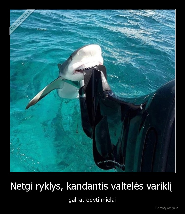 ryklys,variklis,mielas