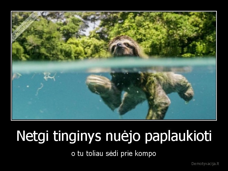 tinginys,plaukioja,vasara,ezeras