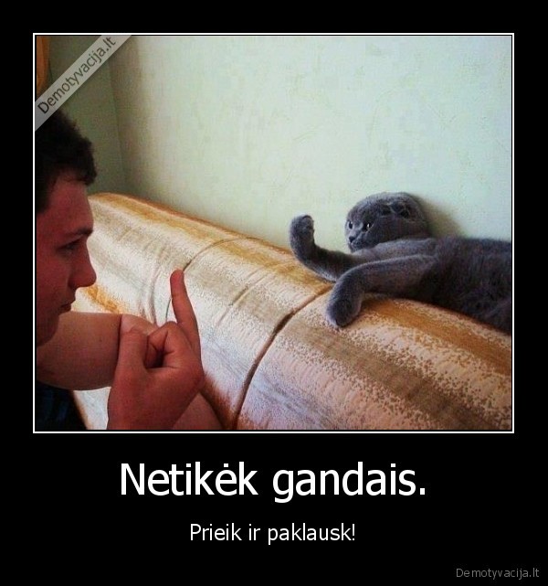 netiket, paklausk, gandai, apkalbos