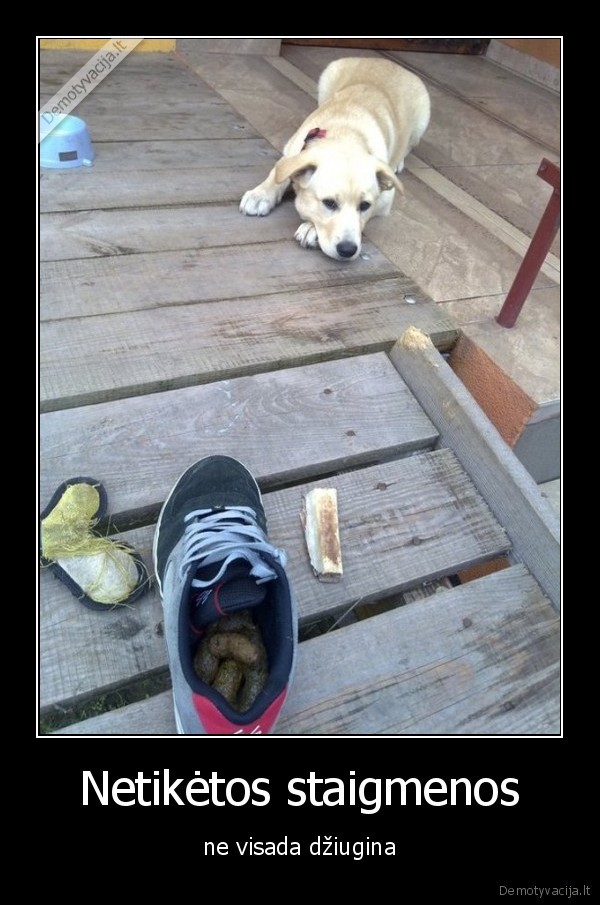 Netikėtos staigmenos