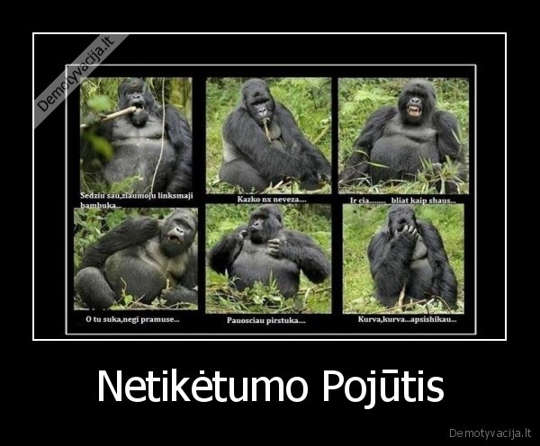 Netikėtumo Pojūtis