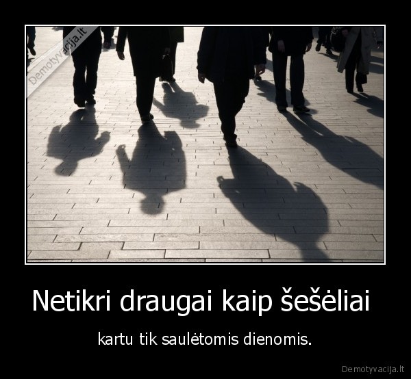 netikri, draugai,seselis,saule,diena