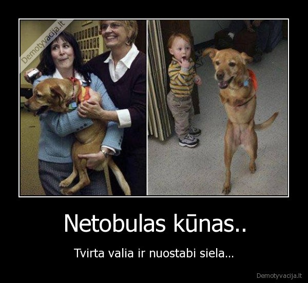 Netobulas kūnas..