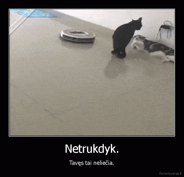 kaciu, kova,ismanusis, siurblys