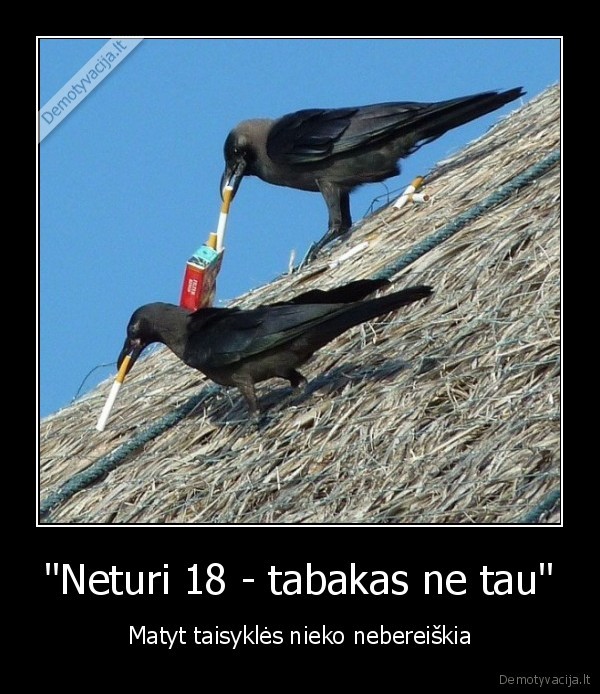 rukymas, varnos, pauksciai, taisykles