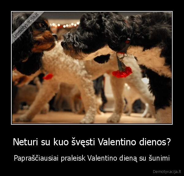 Neturi su kuo švęsti Valentino dienos?