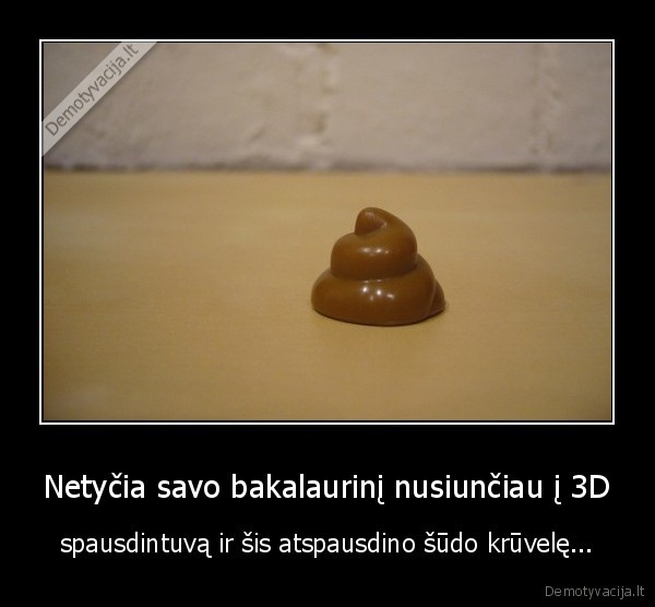 bakalauro, darbas,bakalaurinis,3d, spausdinimas