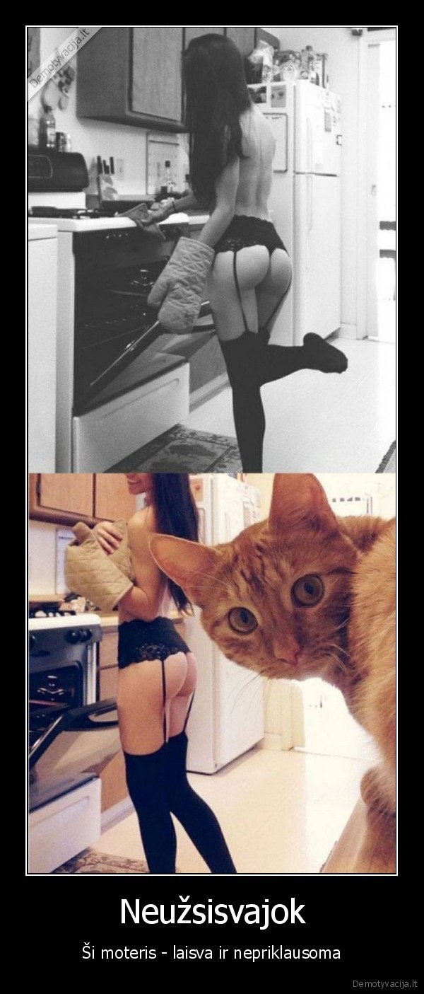 katinas,nuoga, mergina,mergina, virtuveje