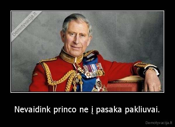 gyvenimas,princas,grazuolisd