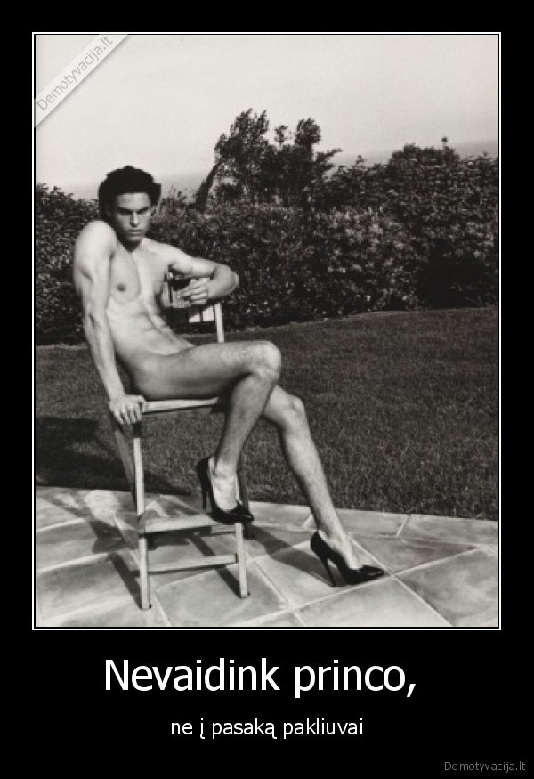 Nevaidink princo, 