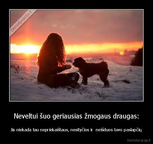 Neveltui šuo geriausias žmogaus draugas:
