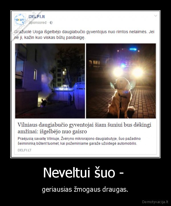 suo,gelbetojas,gaisras,geriausias, draugas