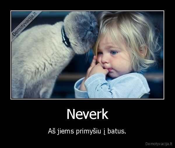 katinas,draugas,verkti