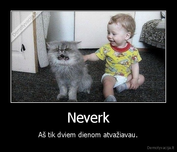 katinas,vaikas,verkti