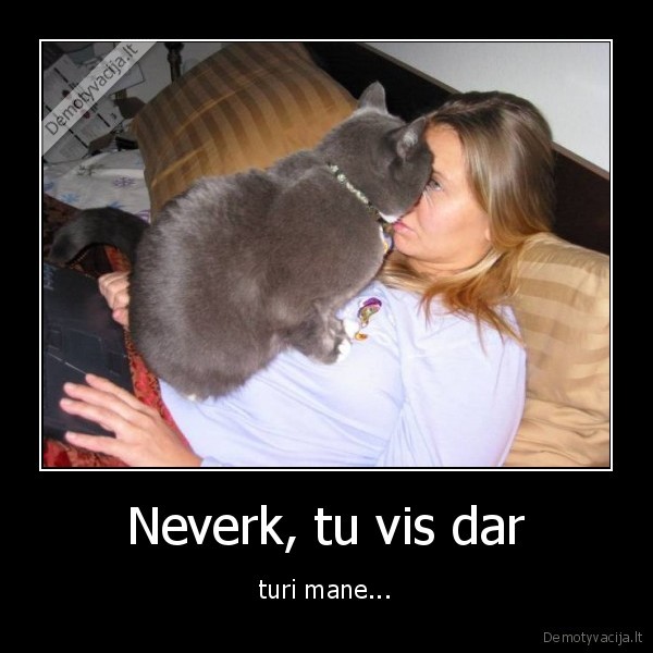 katinas, guodzia,moteris, verkia