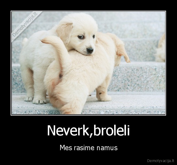 Neverk,broleli