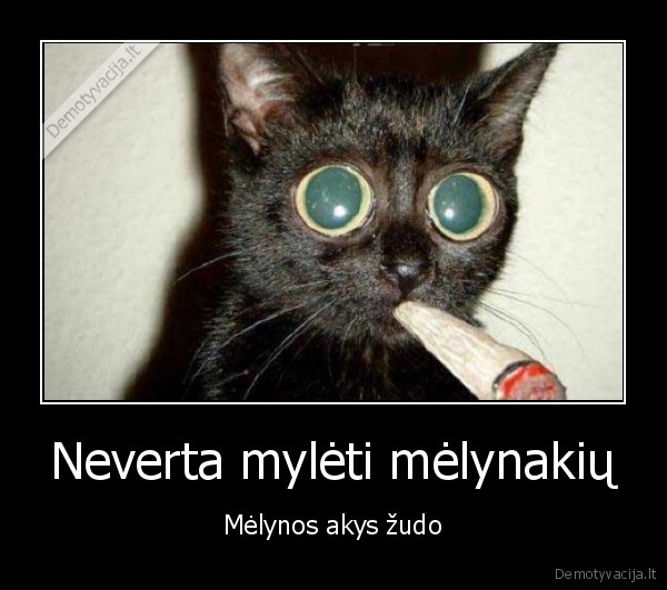 Neverta mylėti mėlynakių