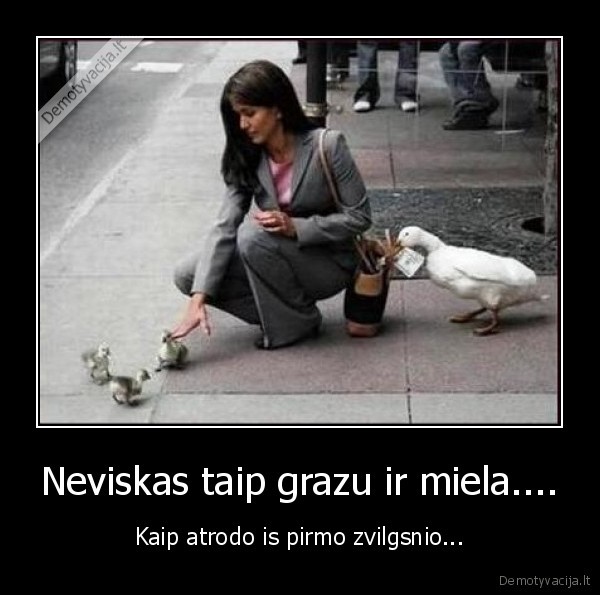 Neviskas taip grazu ir miela....