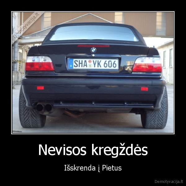 Nevisos kregždės