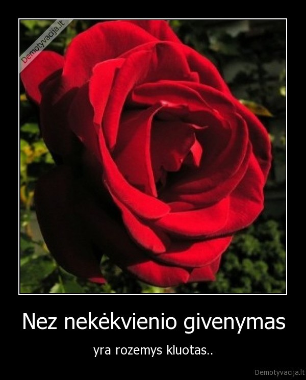 Nez nekėkvienio givenymas