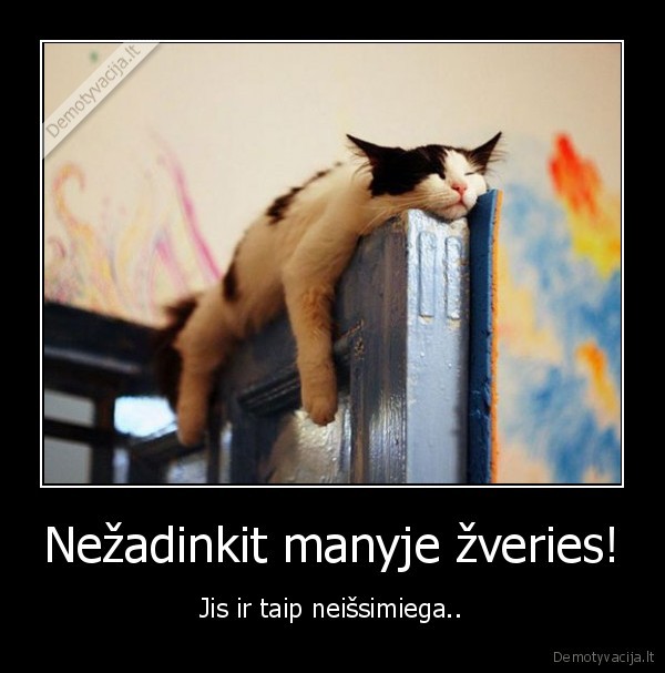 nibudi, zver,nezadink, zveries