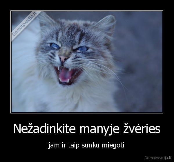 Nežadinkite manyje žvėries