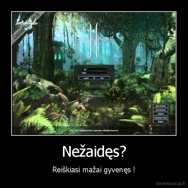 l2,zaidimas,mmo,nezaides,reiskiasi,mazai,gyvenes