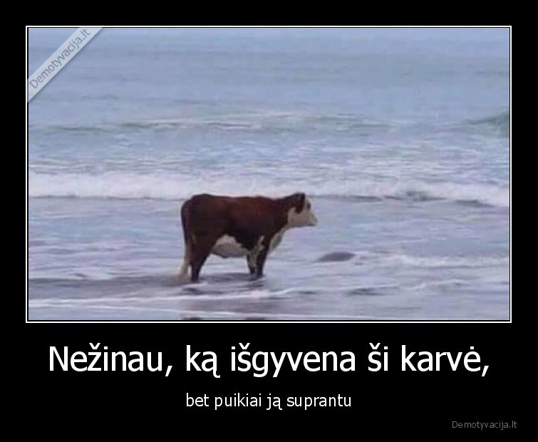 karve,jura,isgyvenimai,mintys