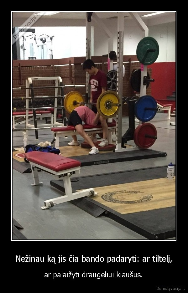 kiausai,sporto, sale,stanga,tiltelis