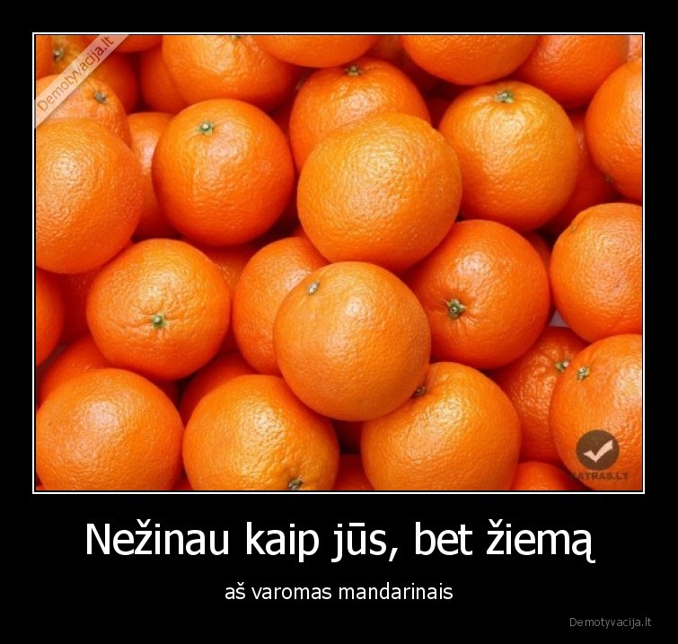 mandarinai,ziema