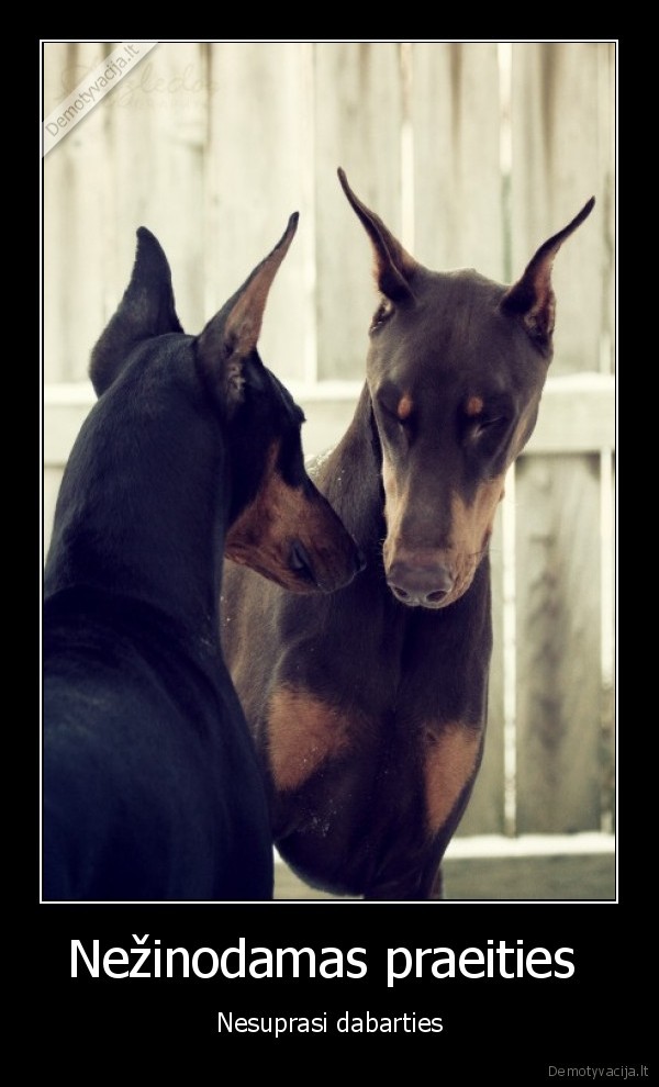 Nežinodamas praeities 