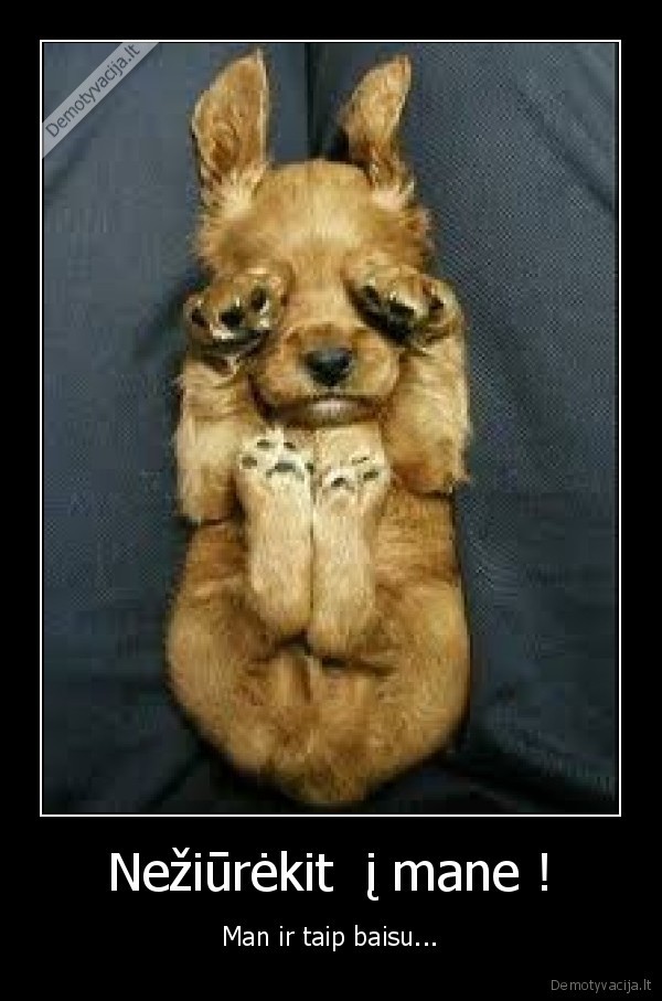 Nežiūrėkit  į mane !
