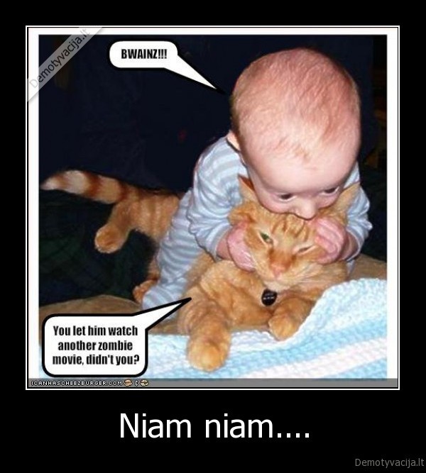 bwainz,brains,cat,katinas,kudikis,zombies