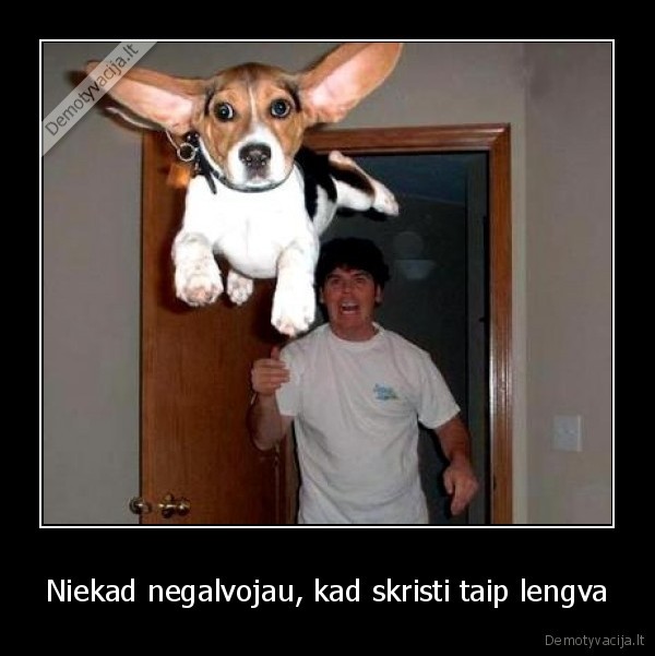 Niekad negalvojau, kad skristi taip lengva