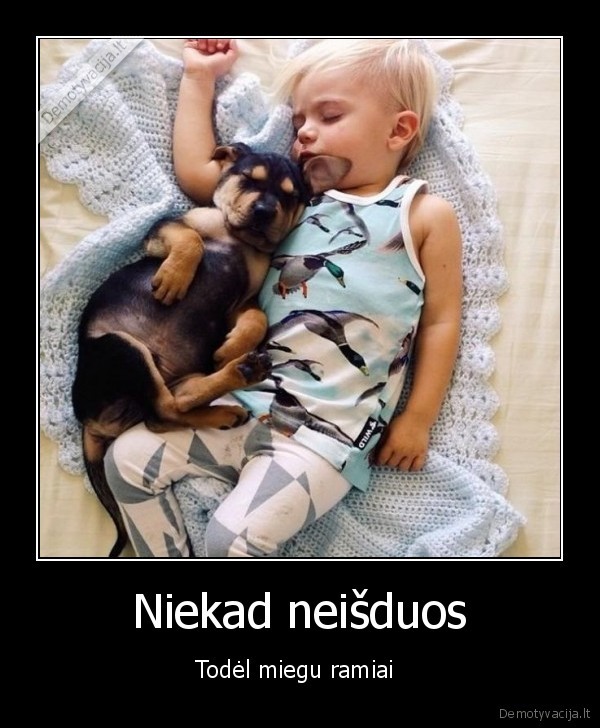 istikimas, suo,istikimybe,isdavyste