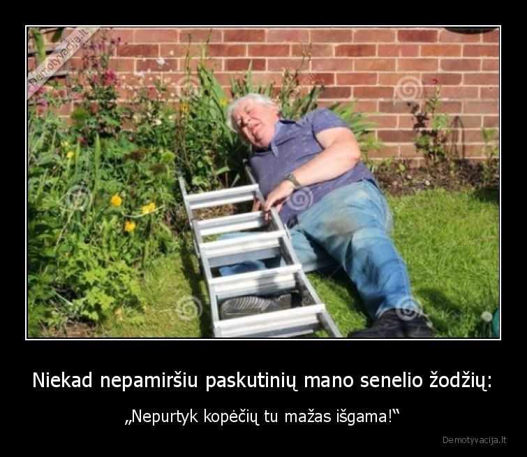 senelio, mirtis,juodas, humoras