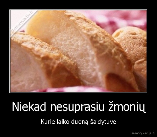 saldytuvas,duona,wtf