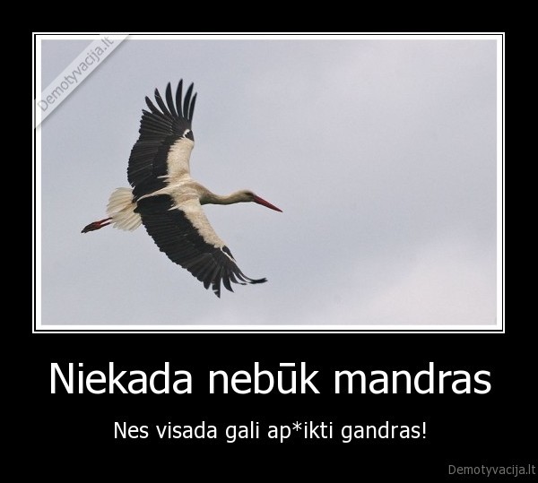 Niekada nebūk mandras