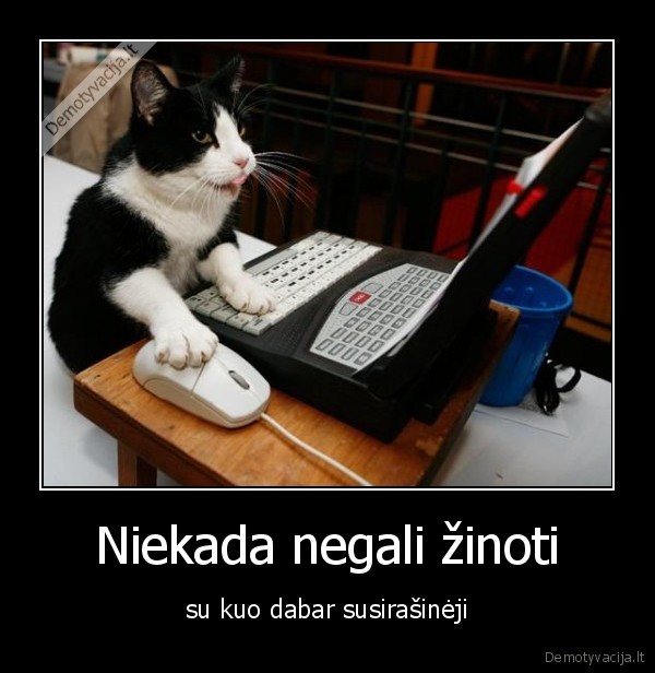 kate,katinas,kompiuteris