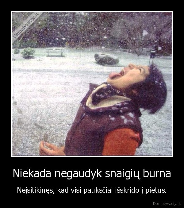 snaiges,ziema,burna,kvaila,pauksciai