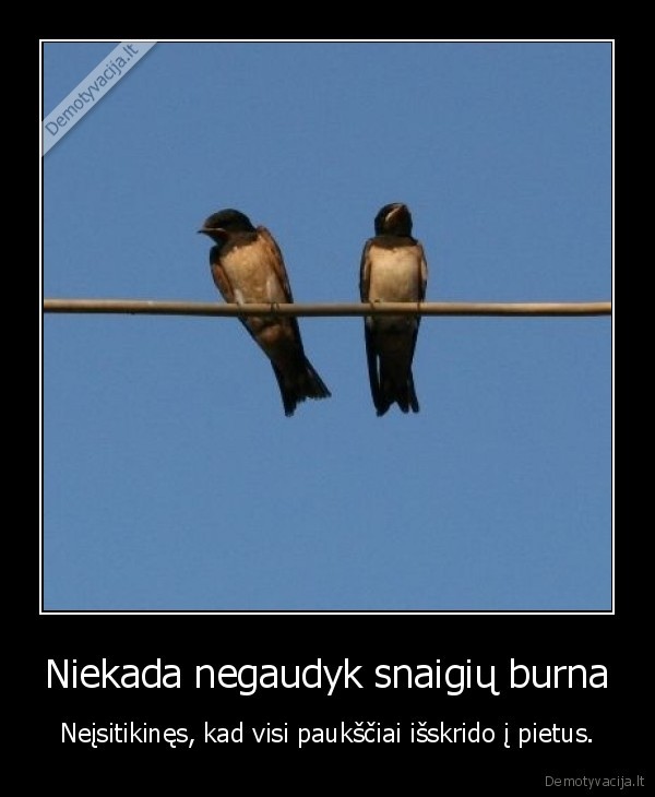 Niekada negaudyk snaigių burna