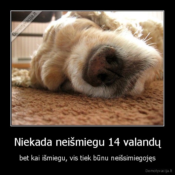 Niekada neišmiegu 14 valandų